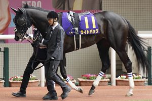 ディヴィーナが府中牝馬S制覇で「5頭目」の重賞ウイナーに！ 躍進が続く「大魔神」佐々木主浩オーナー×ハルーワスウィート一族の活躍馬を一挙まとめ | GJ