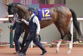【オークス（G1）展望】桜花賞馬ステレンボッシュの二冠阻止は「不完全燃焼」武豊か、「計画通り」川田将雅か。混戦の牝馬クラシック第2章が開幕！