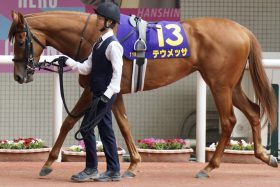 「上がり33.0秒」2連勝で秋華賞（G1）見えた!? C.ルメール「距離はマイルがベスト」から半年…大器テウメッサの末脚は常識を覆す破壊力