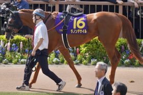 【菊花賞（G1）展望】ダノンデサイル×横山典弘VSアーバンシック×C.ルメール！淀の3000mで長距離の名手が激突