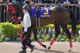 【日本ダービー】武豊シュガークンの選択は吉か凶か!? ドゥラメンテ超えた皐月賞にカラクリ…人気の盲点となる「特注馬」をピックアップ