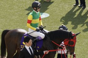 今年もあのレースは「実質三強」の閑古鳥…過去ゴールドシップやステルヴィオが優勝、「7頭立て」でも馬券的中は大楽勝？