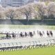 キングズソードとブエナビスタが強力援護!?小倉のプロキオンSは過去2回で大波乱…打倒ヤマニンウルスの「怖い刺客」はこの2頭!