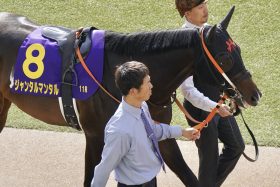 G2降格ひとまず回避も「微妙な立ち位置」に変わりなし？キングカメハメハ、ディープスカイがダービー馬も…「役割を終えた感」を拭えないNHKマイルC