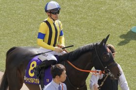 【富士S（G2）展望】ジャンタルマンタルVSセリフォスの新旧マイル王対決！ 待望のG1制覇へソウルラッシュも虎視眈々