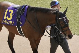 【日本ダービー】ジャスティンミラノに立ちはだかる不吉な予兆!? ディープインパクト、コントレイルはクリアも…無敗の二冠馬が「1勝3敗」の落とし穴