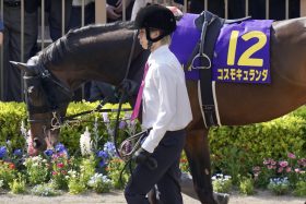 【セントライト記念（G2）展望】M.デムーロ×コスモキュランダが菊を見据えて出陣！