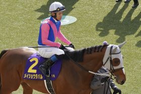 浜中俊「ハナにこだわっていた訳ではない」メイショウタバルが圧逃！菊花賞の課題は鞍上の成長？