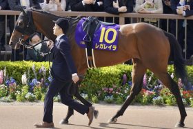 アスコリピチェーノ、ステレンボッシュ、チェルヴィニアに続け、ノーザンファーム産の関東馬・四天王レガレイラ登場！