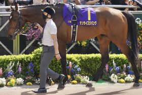 G1・14勝の「名トレーナー」が迎えるラストダービー。7年前には「未完の大器」が1番人気に推されるも涙…「21番人気」G1初制覇の衝撃再現へ