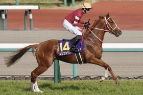 森秀行厩舎「新馬4連勝」の快進撃！「ブリーダーズCに行きたい」BCクラシック挑戦フォーエバーヤングの帯同馬に名乗り？