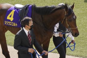 【小倉記念（G3）展望】3歳馬のシリウスコルトが中心も大混戦！ 皐月賞（G1）2着馬コスモキュランダ、日本ダービー（G1）3着馬のシンエンペラーに次いだ実力を示せるか
