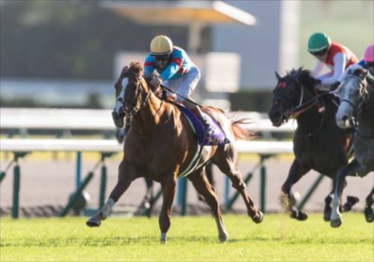 【有馬記念】武豊×ドウデュースを逆転できる候補3頭!と絶対に馬券に加えるべき“隠れ穴馬!”