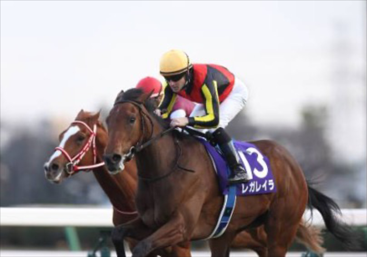 【ホープフルS】“クロワデュノールなんて目じゃない!”今年最後のG1!冬の中山で走る穴馬の法則、名門調教師絶賛の穴馬!