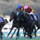 「シャフリヤールの激走はわかっていた」本物だけが知る有馬記念裏事情。そして“金杯”で再現される波乱の結末とは?