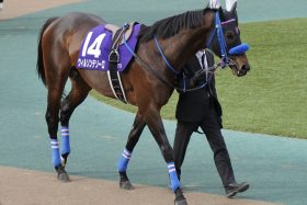 【ホープフルS】“クロワデュノールなんて目じゃない!”今年最後のG1!冬の中山で走る穴馬の法則、名門調教師絶賛の穴馬!